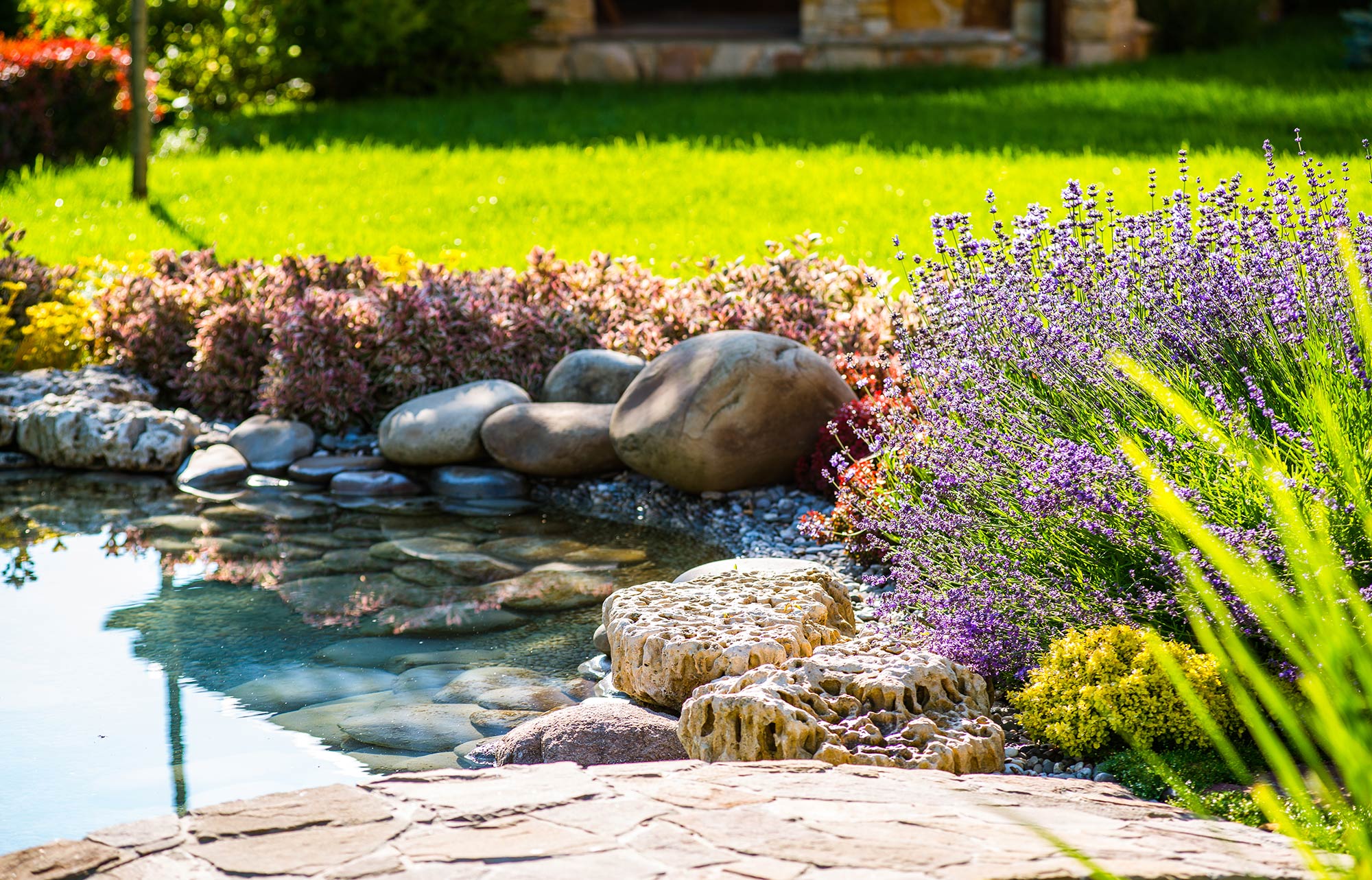 Foto eines Gartens mit Lavendel und Teich