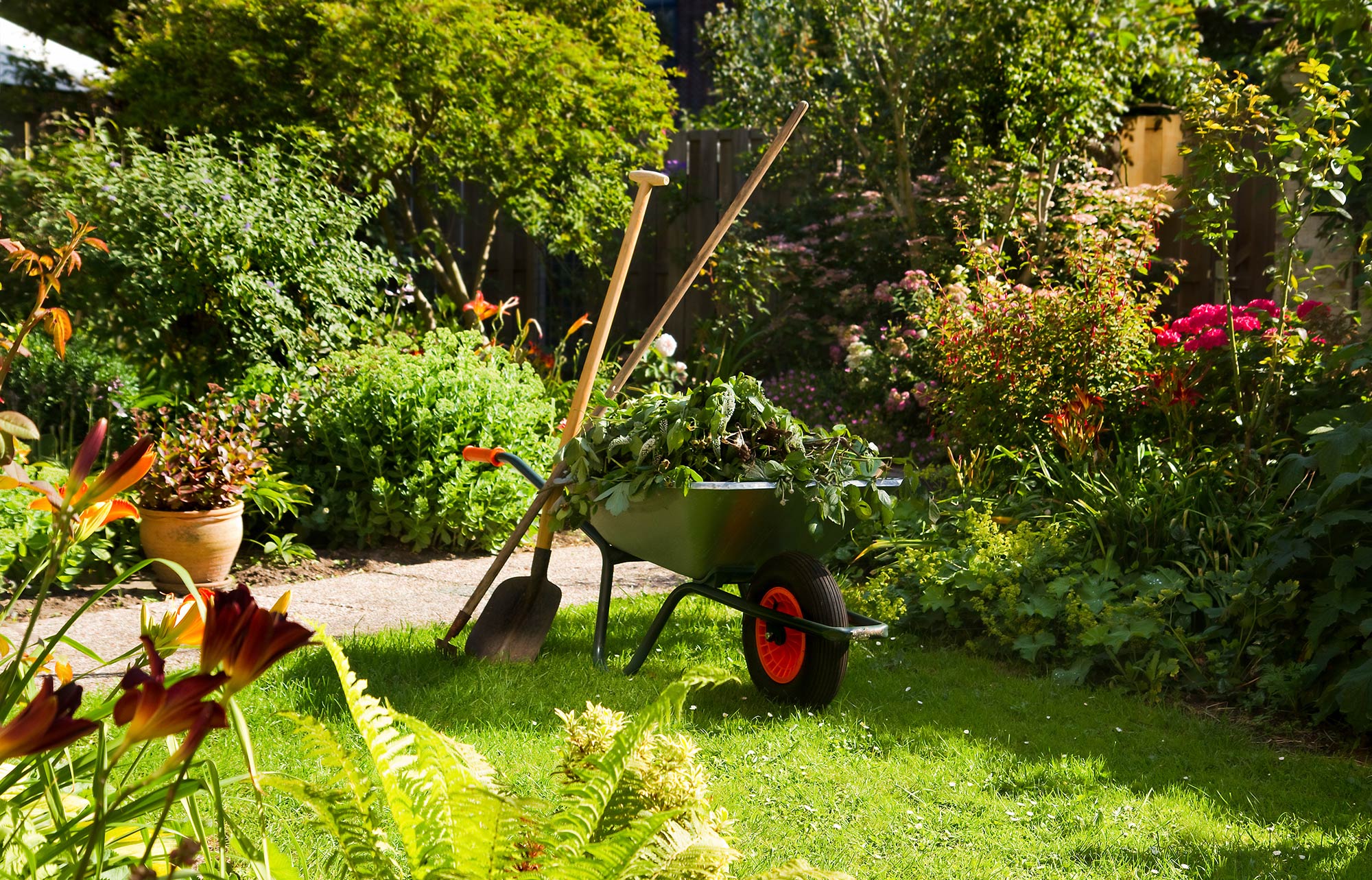 Foto eines Gartens mit Utensilien für die Gartenpflege