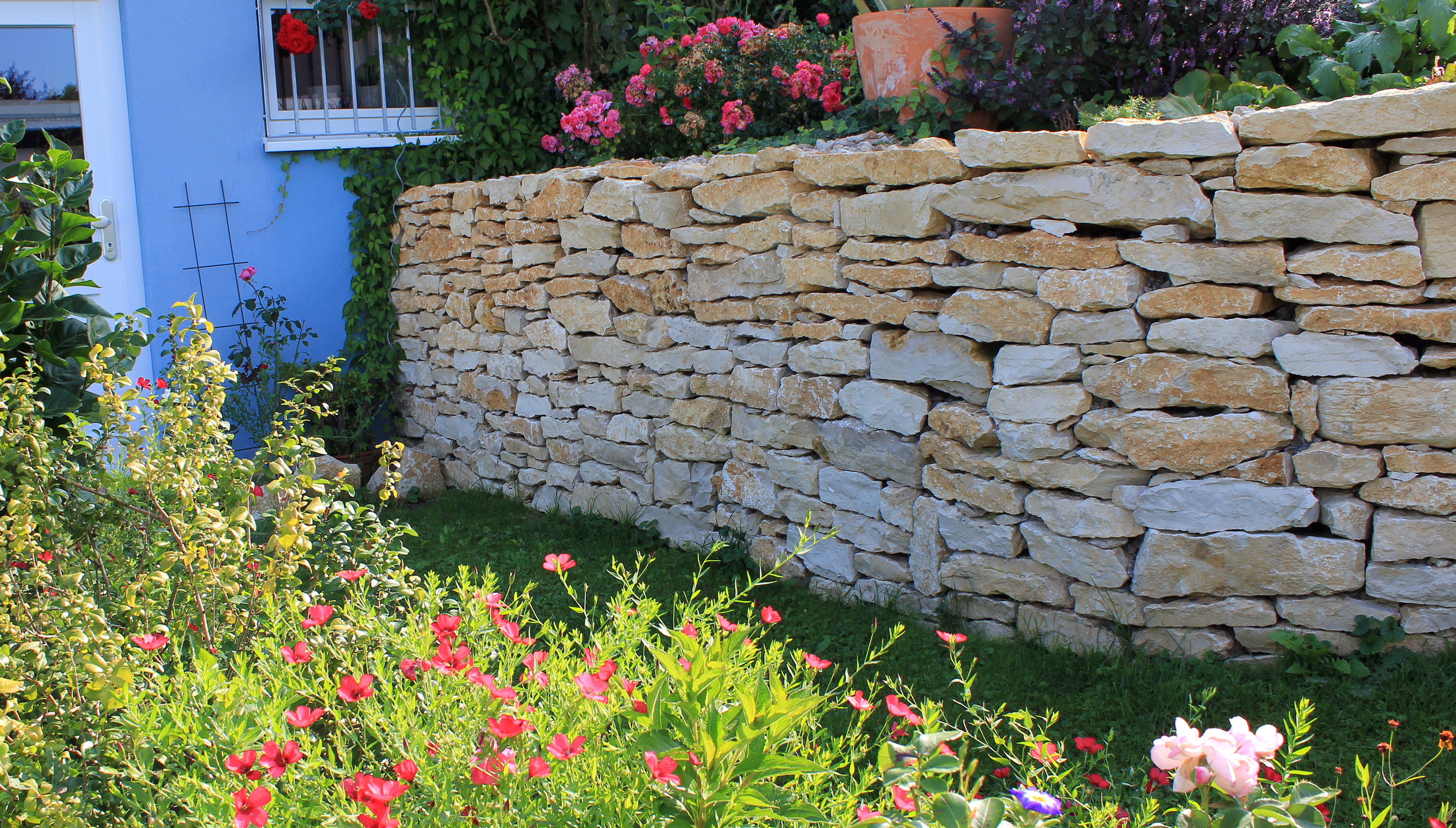 Natursteinmauer zur Hangsicherung im blühenden Garten, gebaut und gestaltet von Flora Garten- und Landschaftsbau