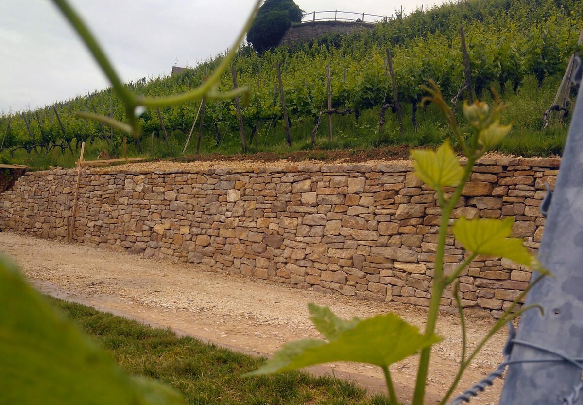 Foto der Trockenmauer im Weinberg bei Auggen, gebaut von Flora Garten- u. Landschaftsbau